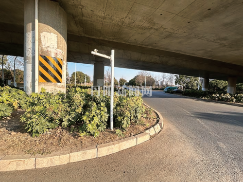 6f6c3cb754c31dbbff54f4d55d2db3b2