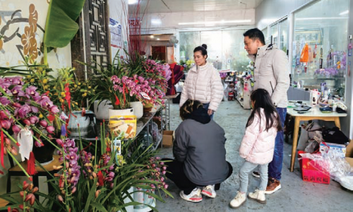 年味渐浓，年宵花市场热力开卖