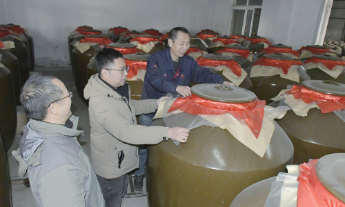 丹阳黄酒香 开坛年味浓