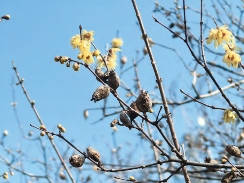 c5790abd0eb0733e8ab818e9910c161e