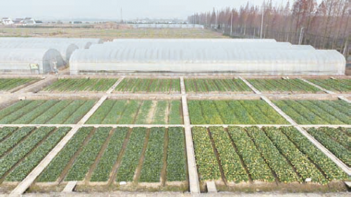 d1b9deb4f8fc08acb5cd0e992c9ffbce