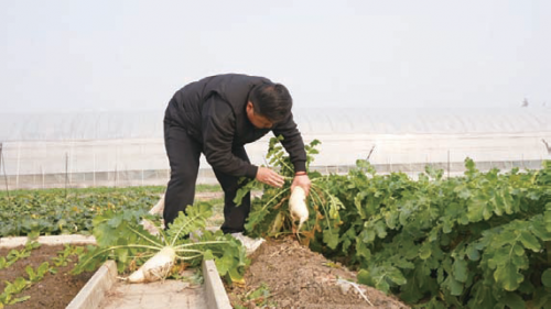 bc94df16848fe35b8ae243342df1e942