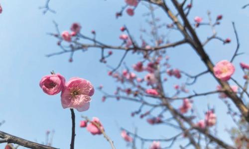 fb8d63813cb9fe886facad99b5c45db8