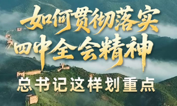 壹视界·微视频丨如何贯彻落实四中全会精神？总书记这样划重点