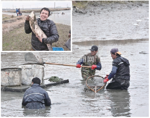 477fae5f9face369a440960048838682