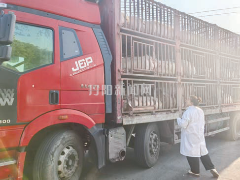 3a1a9ade9325bf6ce879a3acae6103b7