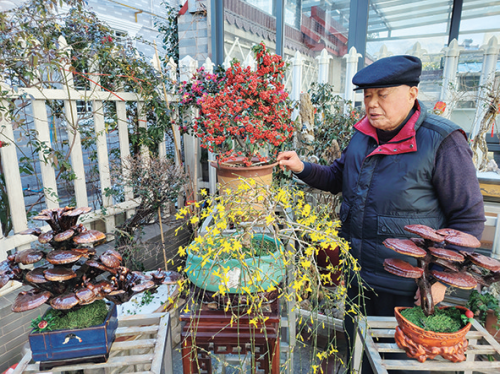 0e3e446e861add8a3b6c809ec643724a