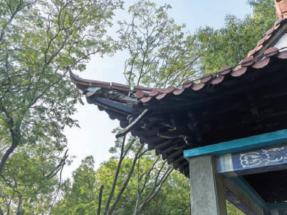 b6b9476876787d35379384909257dbb3