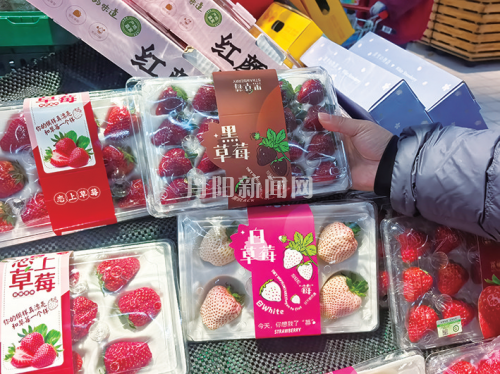 e0e6f355b88e01d6d3536c2d9c1c53b5