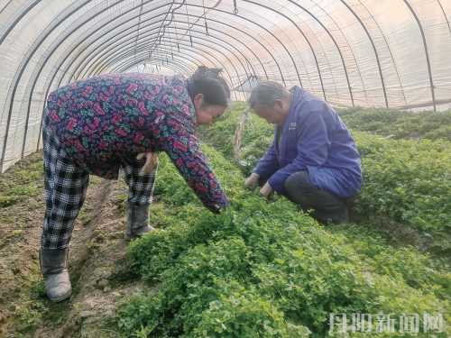 5a828cc92a6df88576f174248213c280