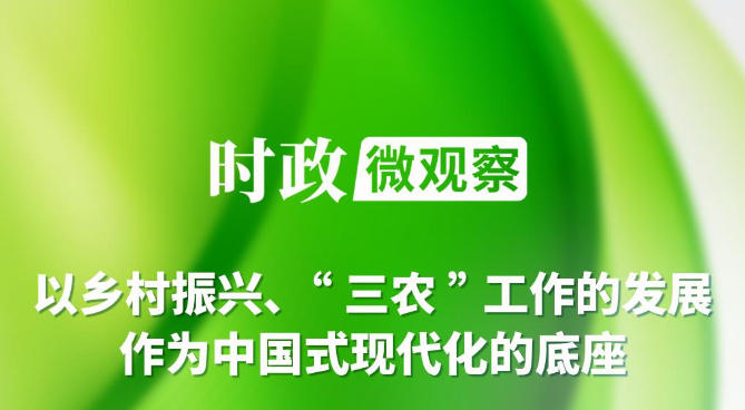 时政微观察丨常态化精准帮扶，这个新部署意义深远