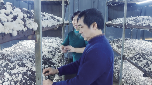 35a09be68aba3a8dc9ca5f90806e175f