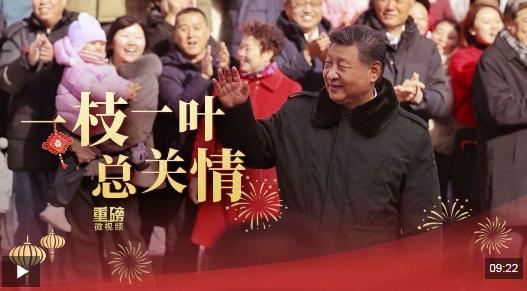 重磅微视频丨一枝一叶总关情