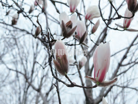 cd9fd3c42546ceaeb48b931a4497ba39