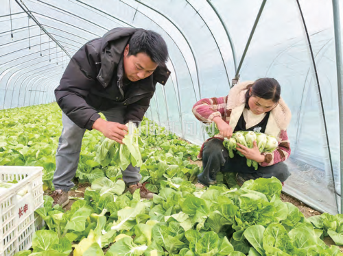 212a60dc89ebcef8c7cfc8dd0997e7f6