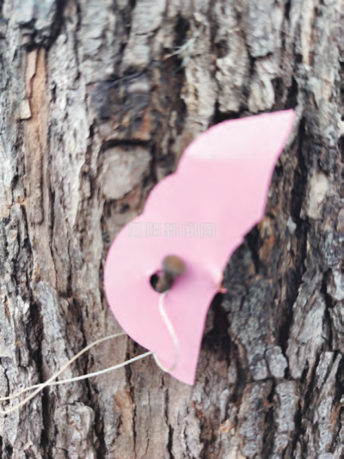 af6c28e4e87c6c0f7cdbc918202a1562