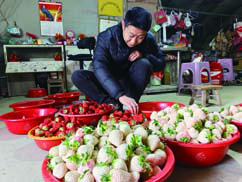 d10787fcc17204ac95c1402f4243ce90