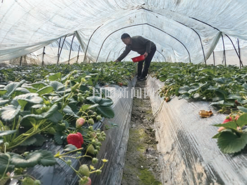 da618441b225db2e8eb9b885321d9f0e