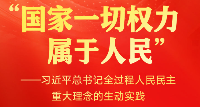 习近平总书记全过程人民民主重大理念的生动实践
