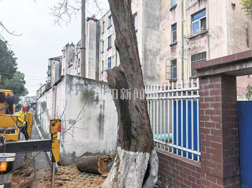 bdf1afda24e0997f4d729ba4cdfb8040