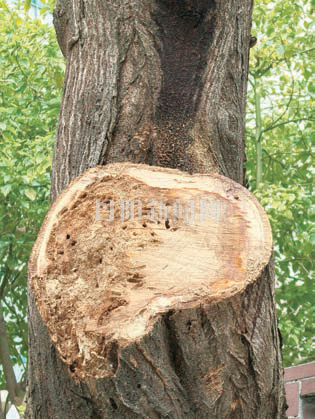 473cd107fb9450e1425de49ba0ef1dd9