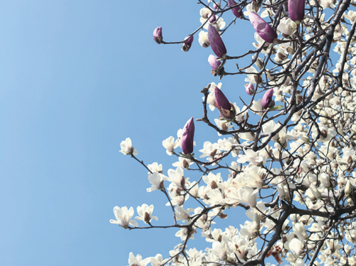 4cc69efc1ae5682cffc242d913532937