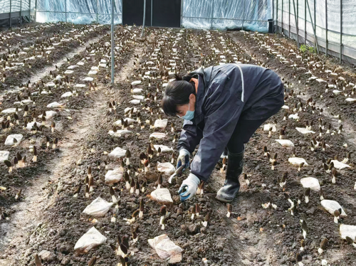 882e05470db4facedab3d8638ead8fb0