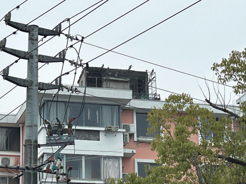 4ae0fb088888ce35ea23b8c165f381e9