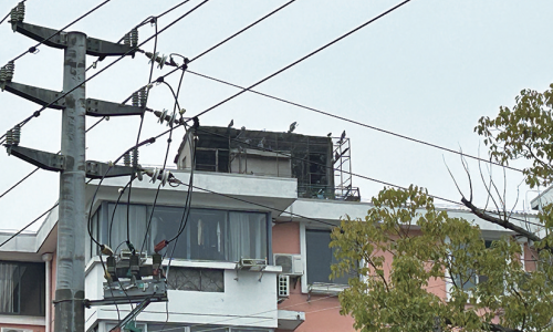 居民楼楼顶建鸽棚养鸽引不满