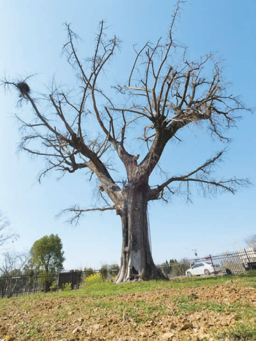 16122aabcaefa1718d41a94ea62d0eb4