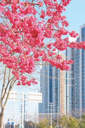 979d6b577f40eec9cccdbf32cd25cdae