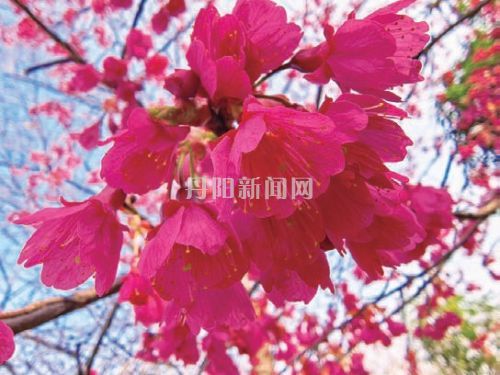 59d0261652d66be15e3f020f1b5c4e67