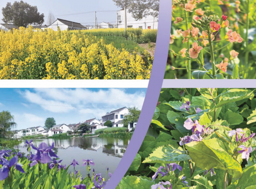 f6e46085bbe4823456235da6d4b3bf19