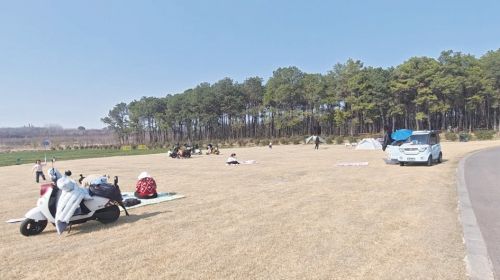 bfd80c56a542d4e0328e1a33a69cbc2d