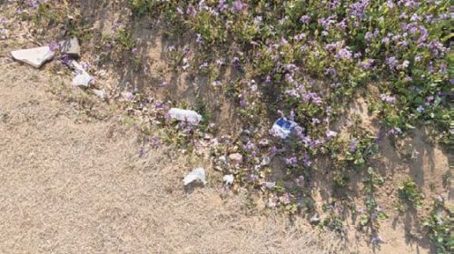 97be971027a0ad2c8e4d9961c77d7d71