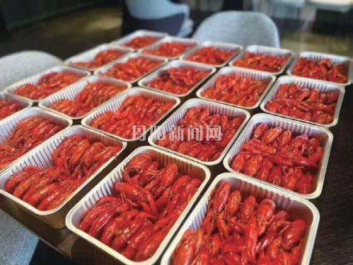 8e090909d6ed00303fe34d634207fbad