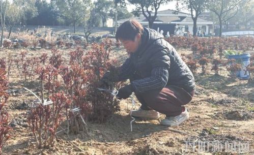 360截图20260321113925087