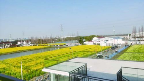 bcb15102d2a3f219c9cff526ee7cbb5c