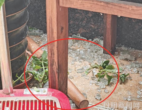 bd23eb922bbce8e7e9b50ffd953acbf5