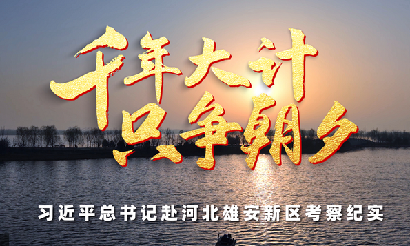 时政微纪录丨千年大计 只争朝夕——习近平总书记赴河北雄安新区考察纪实