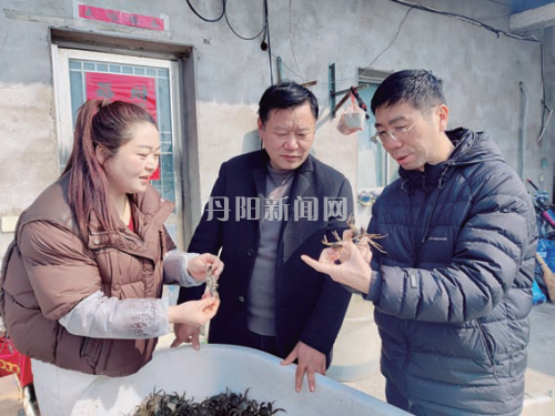 41cd4a6a237bbd6acbec8aeb9ff09274