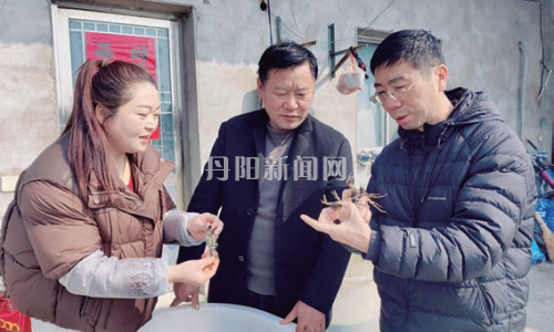 蟹苗入塘春意浓 科学养殖促增收