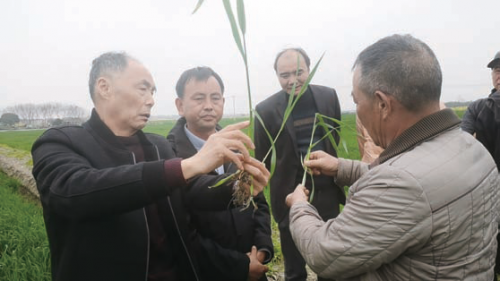 c4d31aede091ac76d02dec32e6baa4bc