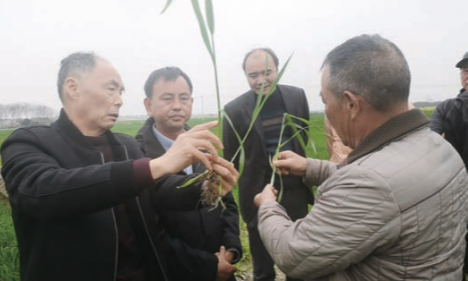 科技助农到一线 银发赋能助春耕