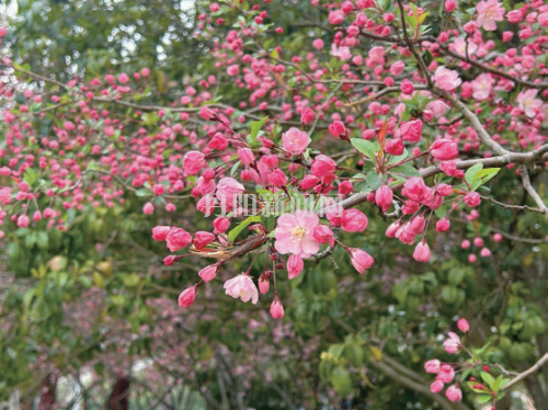 a22fd0d4241bcc7c453cfd593d96198e