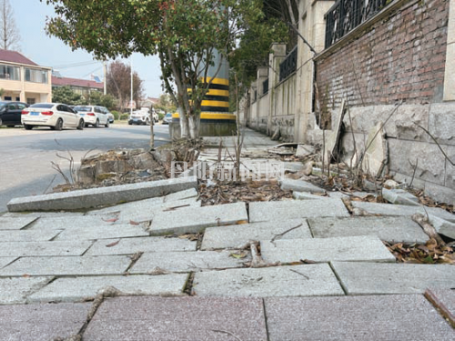 773a898efffaab3b51986b0b498d371c