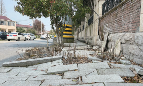 小区居民盼修家门口的“闹心路”