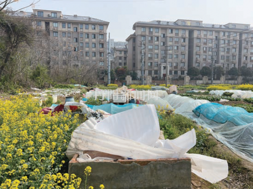 10cf95ed07dd8aee9e5fa62a5207a06a