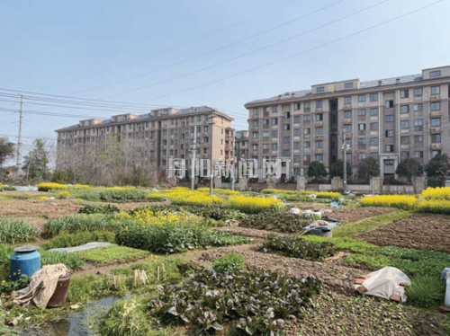 173eb97e4e9e01c5f413954efa58f2a5