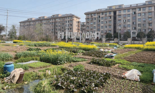 世纪豪都居民盼还整洁宜居环境